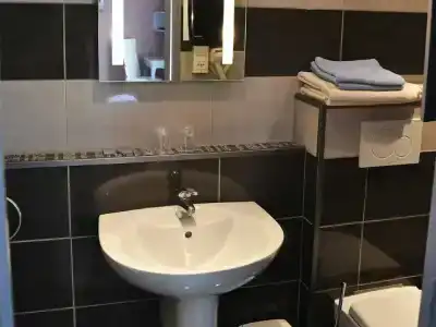 Hôtel Le Dauphin Bleu - 52
