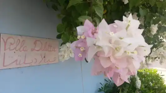 Villa Diletta Luxor - 22