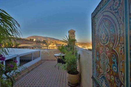 Riad Vega - 19