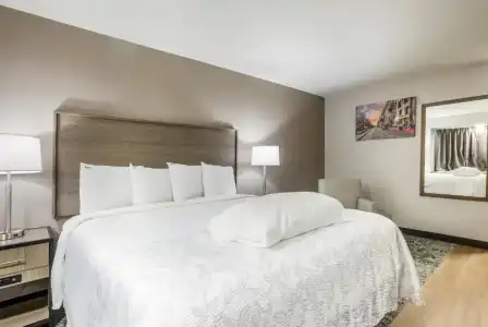 Red Roof Inn PLUS+ & Suites Savannah - I-95 - 49