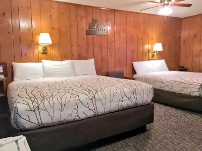 Park Motel and Cabins - 299