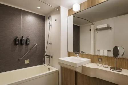 Sheraton Miyako Osaka - 50