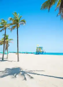 Margaritaville Hollywood Beach Resort - 61