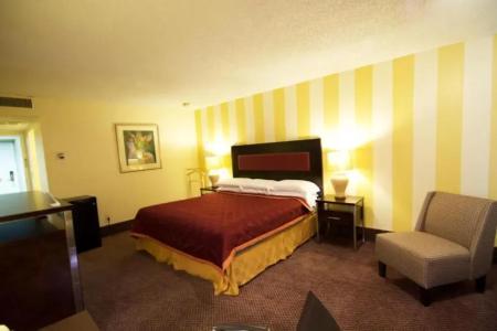 Royal Plaza Inn - 35