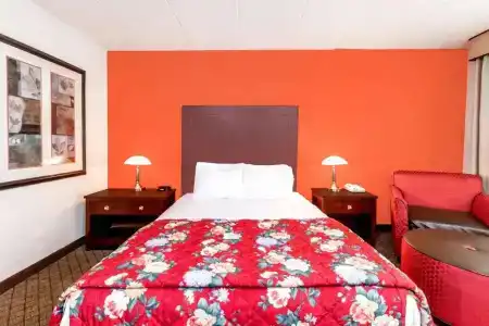Ramada Lansing and Conference Center - 46