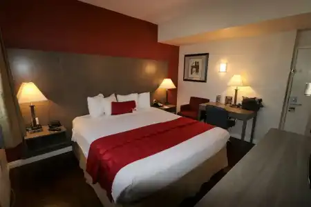 Ramada by Wyndham San Diego Airport - 40