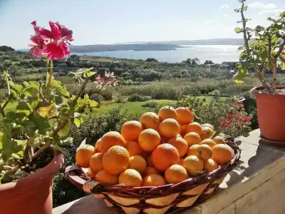 Mediterranea Seaviews Gozo - 9