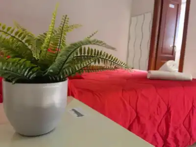 B&B Fiumicino Inn Airport - 2