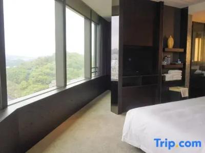Shenzhen 330 - 49