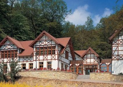 Der Waldkater - 12