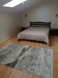 Tsentralny Mini-Hotel - 110