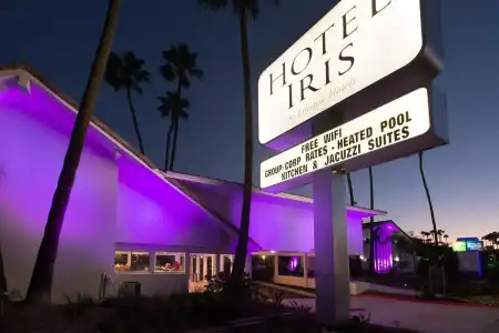 Iris - San Diego - 13