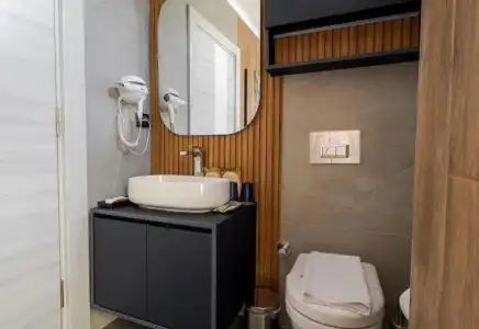Tema 242 - 101