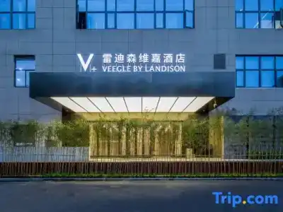Veegle By Landison - 0