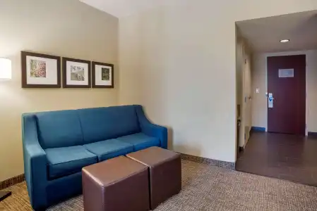 Comfort Suites Fredericksburg North - 112