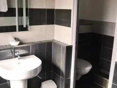 Hôtel Le Dauphin Bleu - 77