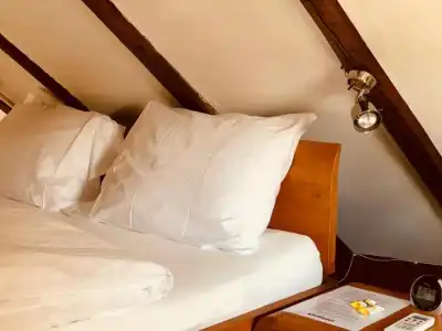 Statthotel - 5