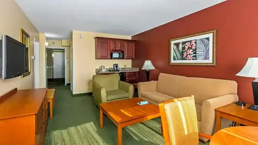 Holiday Inn & Suites Clearwater Beach by IHG - 172