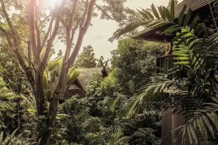 Four Seasons Resort Chiang Mai - 53