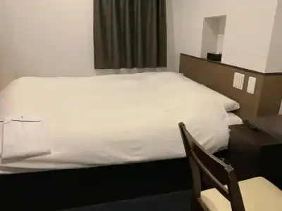 Nagoyaeki Accesshotel - 33