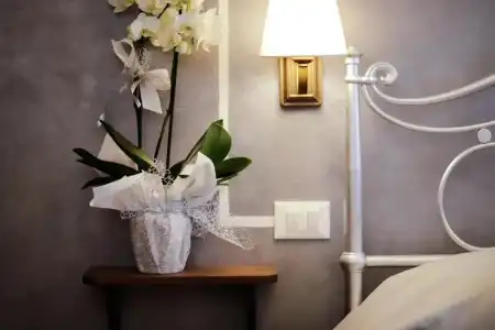 Residenza Cecchi - 21