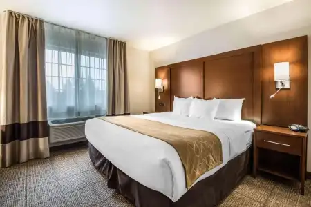 Comfort Suites at Par 4 Resort - 5