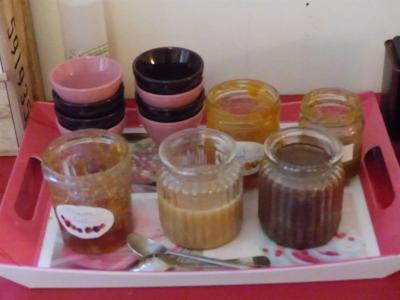 Chambre d'hôtes Logis de Saint Jean - 9