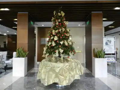 Central Sofia - 1