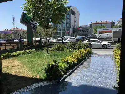 GREEN PALMİYE - 16