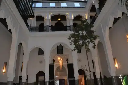 Riad Braya - 9