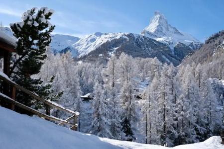 Mountain Paradise - 17