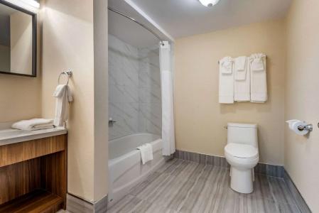 Quality Inn & Suites - 9