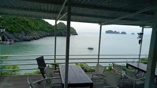 Monkey Island Resort - 53