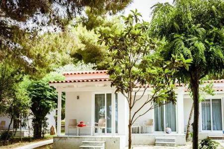 Mimoza Beach - 39