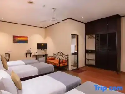 Ceylon City, Colombo - 55