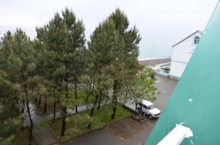 Green House - 16