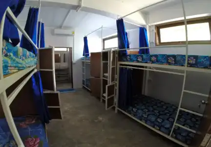Neptune Hostel Guesthouse - 5