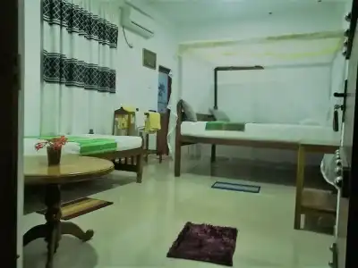 Turtle Paradise - 125