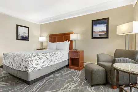 Best Western Plus Silver Saddle Inn - 52