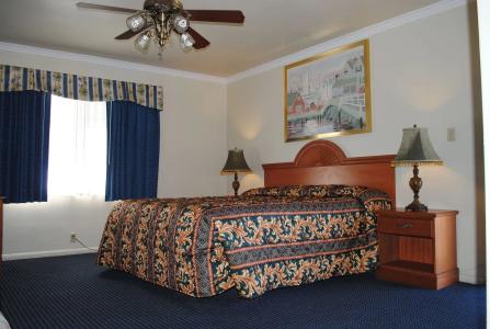 Viking Motel-Ventura - 5
