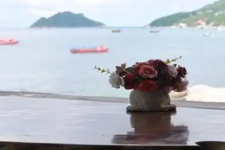 DD Hut Koh Tao - 176