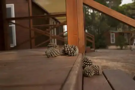 PuntAla Camp & Resort - 57