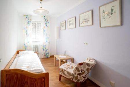 AltstadtGrauer Wolf - 25