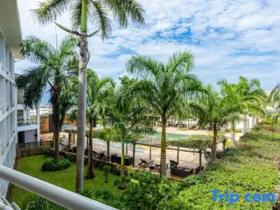 Giraffe Ocean View - 58