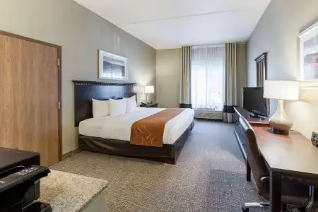 Comfort Suites Austin Airport - 71