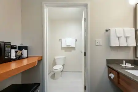 Fairfield Inn By Marriott Savannah Airport - 5