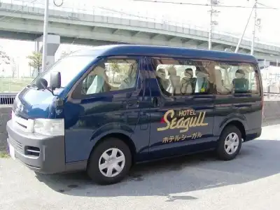Seagull - 15