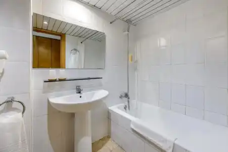 Vibra Palma Cactus - 33