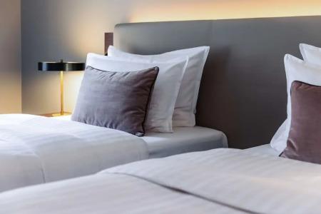 Steigenberger de Saxe Dresden - 79