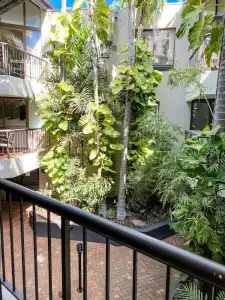Ocean Breeze Resort - 219